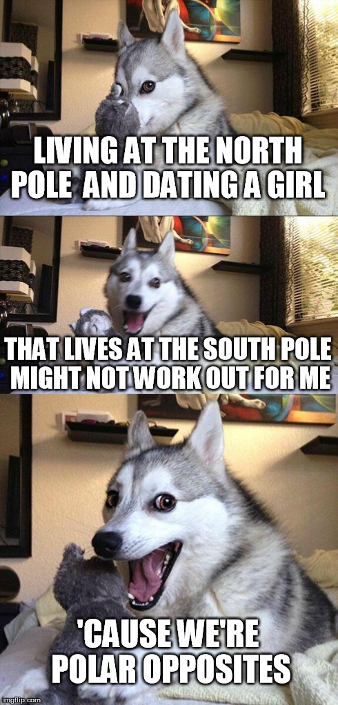 Bad Pun Dog Meme | LIVING AT THE NORTH POLE  AND DATING A GIRL THAT LIVES AT THE SOUTH POLE MIGHT NOT WORK OUT FOR ME 'CAUSE WE'RE POLAR OPPOSITES | image tagged in memes,bad pun dog | made w/ Imgflip meme maker