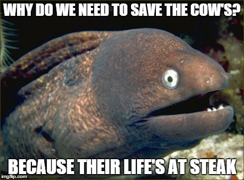 Bad Joke Eel | WHY DO WE NEED TO SAVE THE COW'S? BECAUSE THEIR LIFE'S AT STEAK | image tagged in memes,bad joke eel | made w/ Imgflip meme maker