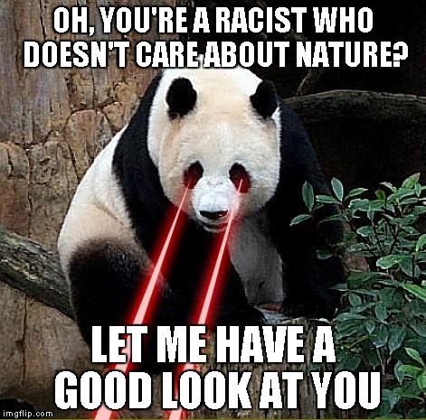 Never be racist in front of pandas | OH, YOU'RE A RACIST WHO DOESN'T CARE ABOUT NATURE? LET ME HAVE A GOOD LOOK AT YOU | image tagged in laser panda,racism | made w/ Imgflip meme maker