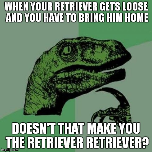 Philosoraptor | WHEN YOUR RETRIEVER GETS LOOSE AND YOU HAVE TO BRING HIM HOME DOESN'T THAT MAKE YOU THE RETRIEVER RETRIEVER? | image tagged in memes,philosoraptor | made w/ Imgflip meme maker