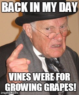 Back In My Day | BACK IN MY DAY VINES WERE FOR GROWING GRAPES! | image tagged in memes,back in my day | made w/ Imgflip meme maker