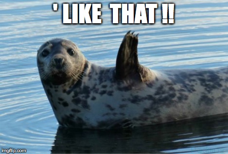 Seal | ' LIKE  THAT !! | image tagged in seal | made w/ Imgflip meme maker