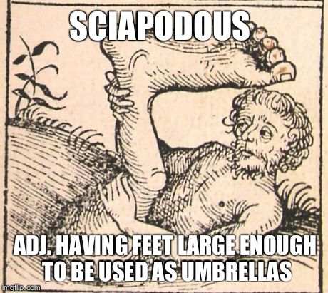 Sciapodous | SCIAPODOUS ADJ. HAVING FEET LARGE ENOUGH TO BE USED AS UMBRELLAS | image tagged in umbrella foot,foot,umbrella | made w/ Imgflip meme maker