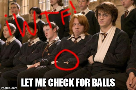 Harry Potter Gay | LET ME CHECK FOR BALLS | image tagged in harry potter gay | made w/ Imgflip meme maker