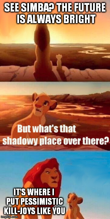 The Ultimate Timeout | SEE SIMBA? THE FUTURE IS ALWAYS BRIGHT IT'S WHERE I PUT PESSIMISTIC KILL-JOYS LIKE YOU | image tagged in memes,simba shadowy place | made w/ Imgflip meme maker