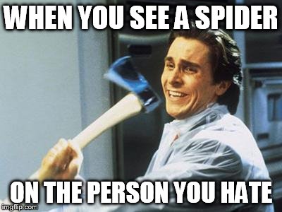 Christian Bale With Axe | WHEN YOU SEE A SPIDER ON THE PERSON YOU HATE | image tagged in christian bale with axe | made w/ Imgflip meme maker