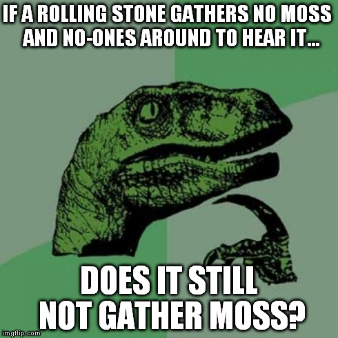 Philosoraptor | IF A ROLLING STONE GATHERS NO MOSS 
AND NO-ONES AROUND TO HEAR IT... DOES IT STILL NOT GATHER MOSS? | image tagged in memes,philosoraptor | made w/ Imgflip meme maker