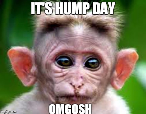 IT'S HUMP DAY OMGOSH | made w/ Imgflip meme maker