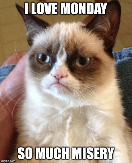 Grumpy Cat | I LOVE MONDAY SO MUCH MISERY | image tagged in memes,grumpy cat | made w/ Imgflip meme maker