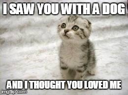 Sad Cat | I SAW YOU WITH A DOG AND I THOUGHT YOU LOVED ME | image tagged in memes,sad cat | made w/ Imgflip meme maker