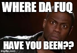 Kevin Hart Meme | WHERE DA FUQ HAVE YOU BEEN?? | image tagged in memes,kevin hart the hell | made w/ Imgflip meme maker