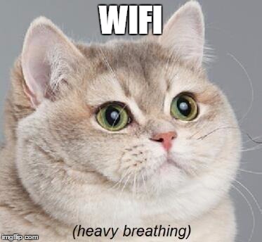 Heavy Breathing Cat Meme | WIFI | image tagged in memes,heavy breathing cat | made w/ Imgflip meme maker