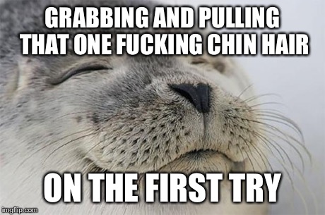 Satisfied Seal Meme | GRABBING AND PULLING THAT ONE F**KING CHIN HAIR ON THE FIRST TRY | image tagged in memes,satisfied seal | made w/ Imgflip meme maker
