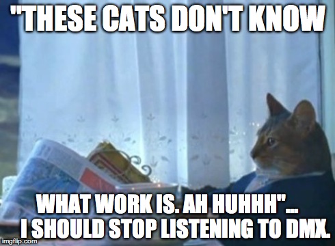 I Should Buy A Boat Cat | "THESE CATS DON'T KNOW WHAT WORK IS. AH HUHHH"... 
  I SHOULD STOP LISTENING TO DMX. | image tagged in memes,i should buy a boat cat | made w/ Imgflip meme maker