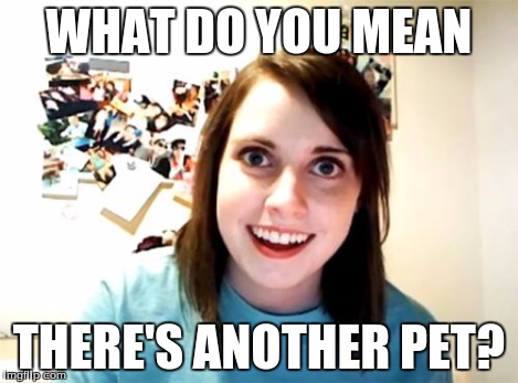 Overly Attached Girlfriend Meme | WHAT DO YOU MEAN THERE'S ANOTHER PET? | image tagged in memes,overly attached girlfriend | made w/ Imgflip meme maker