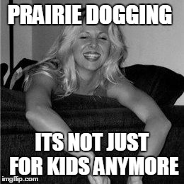 PRAIRIE DOGGING ITS NOT JUST FOR KIDS ANYMORE | image tagged in funny memes | made w/ Imgflip meme maker