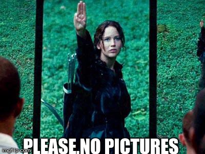 Hunger Games 2 | PLEASE,NO PICTURES | image tagged in hunger games 2 | made w/ Imgflip meme maker