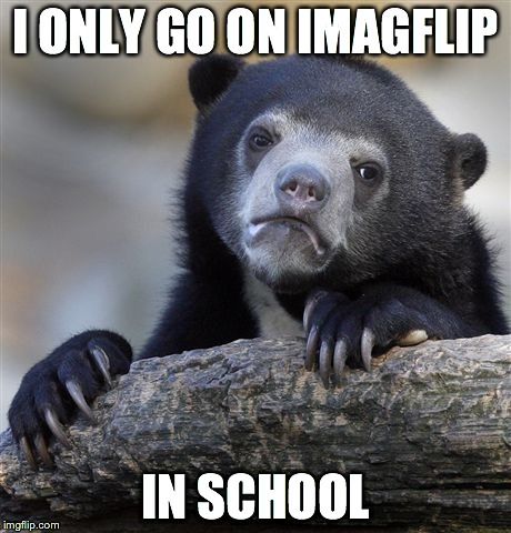 Confession Bear | I ONLY GO ON IMAGFLIP IN SCHOOL | image tagged in memes,confession bear | made w/ Imgflip meme maker