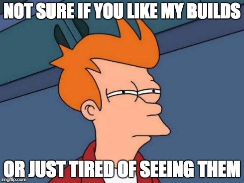 Futurama Fry Meme | NOT SURE IF YOU LIKE MY BUILDS OR JUST TIRED OF SEEING THEM | image tagged in memes,futurama fry | made w/ Imgflip meme maker
