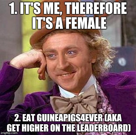 Creepy Condescending Wonka Meme | 1. IT'S ME, THEREFORE IT'S A FEMALE 2. EAT GUINEAPIGS4EVER (AKA GET HIGHER ON THE LEADERBOARD) | image tagged in memes,creepy condescending wonka | made w/ Imgflip meme maker