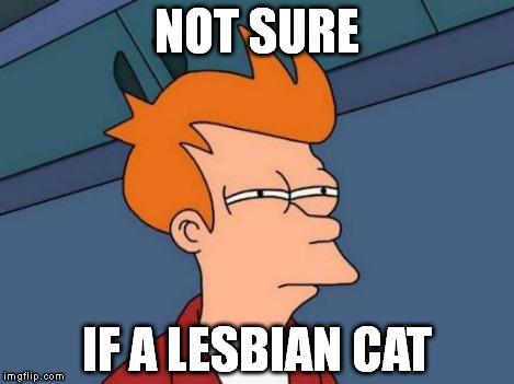 Futurama Fry Meme | NOT SURE IF A LESBIAN CAT | image tagged in memes,futurama fry | made w/ Imgflip meme maker