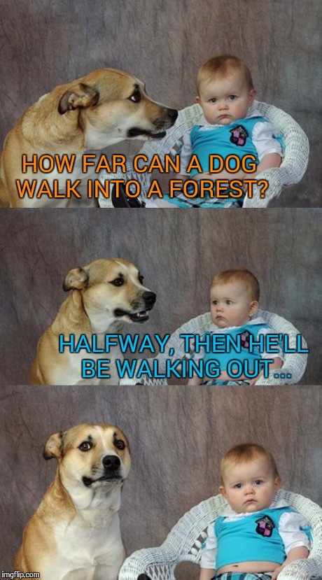 Only halfway?  | HOW FAR CAN A DOG WALK INTO A FOREST? HALFWAY, THEN HE'LL BE WALKING OUT... | image tagged in memes,dad joke dog | made w/ Imgflip meme maker