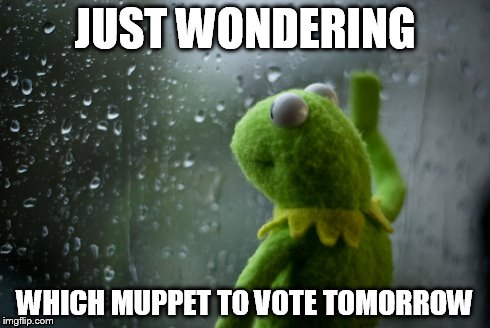 JUST WONDERING WHICH MUPPET TO VOTE TOMORROW | image tagged in politics | made w/ Imgflip meme maker