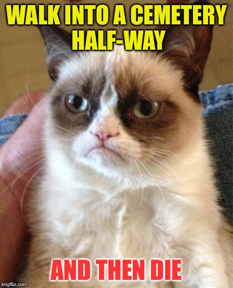 Grumpy Cat Meme | WALK INTO A CEMETERY HALF-WAY AND THEN DIE | image tagged in memes,grumpy cat | made w/ Imgflip meme maker