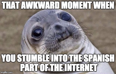 Awkward Moment Sealion | THAT AWKWARD MOMENT WHEN YOU STUMBLE INTO THE SPANISH PART OF THE INTERNET | image tagged in memes,awkward moment sealion | made w/ Imgflip meme maker