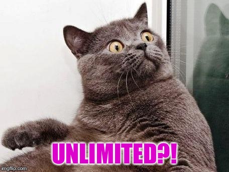 surprised cat | UNLIMITED?! | image tagged in surprised cat | made w/ Imgflip meme maker