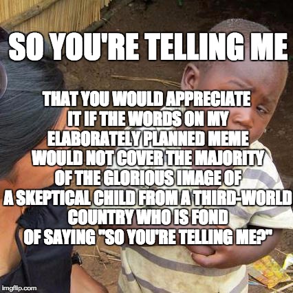 Third World Skeptical Kid Meme | SO YOU'RE TELLING ME THAT YOU WOULD APPRECIATE IT IF THE WORDS ON MY ELABORATELY PLANNED MEME WOULD NOT COVER THE MAJORITY OF THE GLORIOUS I | image tagged in memes,third world skeptical kid | made w/ Imgflip meme maker