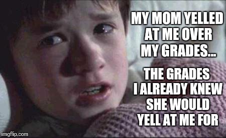 I See Dead People Meme | MY MOM YELLED AT ME OVER MY GRADES... THE GRADES I ALREADY KNEW SHE WOULD YELL AT ME FOR | image tagged in memes,i see dead people | made w/ Imgflip meme maker