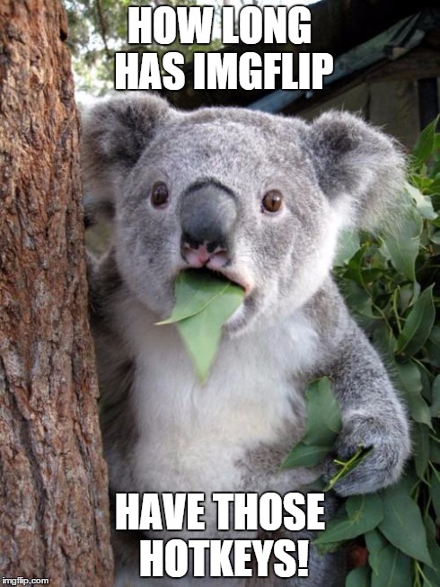 i just noticed them! are they new? | HOW LONG HAS IMGFLIP HAVE THOSE HOTKEYS! | image tagged in memes,surprised koala | made w/ Imgflip meme maker