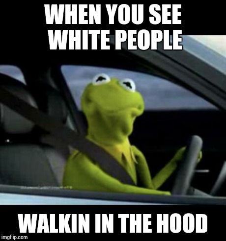Kermit Driving | WHEN YOU SEE WHITE PEOPLE WALKIN IN THE HOOD | image tagged in kermit driving | made w/ Imgflip meme maker