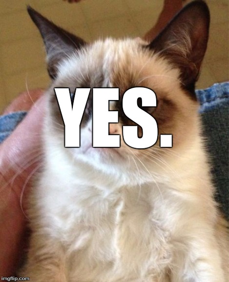 Grumpy Cat Meme | YES. | image tagged in memes,grumpy cat | made w/ Imgflip meme maker