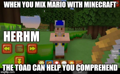 WHEN YOU MIX MARIO WITH MINECRAFT THE TOAD CAN HELP YOU COMPREHEND HERHM | image tagged in when you mix mario with minecraft | made w/ Imgflip meme maker