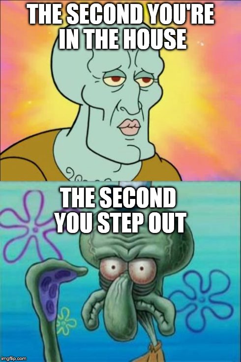 Squidward | THE SECOND YOU'RE IN THE HOUSE THE SECOND YOU STEP OUT | image tagged in memes,squidward | made w/ Imgflip meme maker