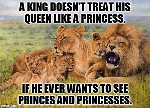 Pride | A KING DOESN'T TREAT HIS QUEEN LIKE A PRINCESS. IF HE EVER WANTS TO SEE PRINCES AND PRINCESSES. | image tagged in lion,romance,queen,lions,family | made w/ Imgflip meme maker