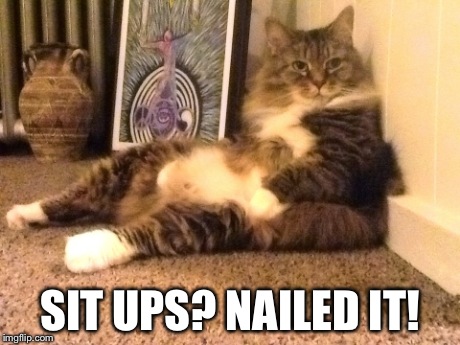 Sit ups? Nailed it! | SIT UPS? NAILED IT! | image tagged in sit ups,nailed it,fat cat,funny | made w/ Imgflip meme maker