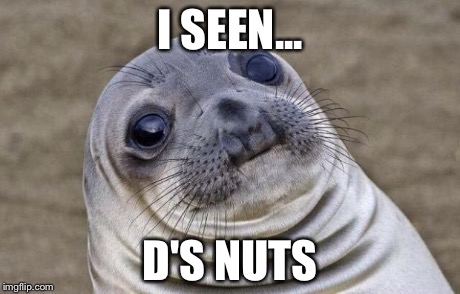 Awkward Moment Sealion Meme | I SEEN... D'S NUTS | image tagged in memes,awkward moment sealion | made w/ Imgflip meme maker