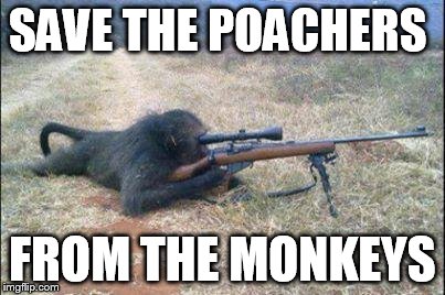 monkeys n guns | SAVE THE POACHERS FROM THE MONKEYS | image tagged in monkeys n guns | made w/ Imgflip meme maker