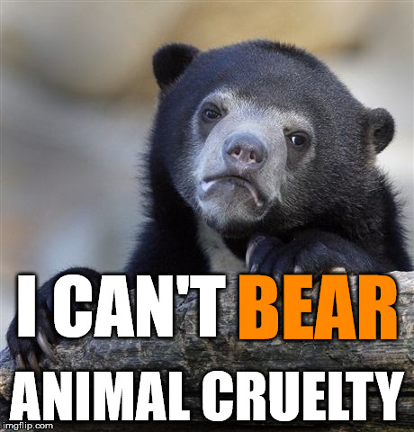Confession Bear Meme | I CAN'T ANIMAL CRUELTY BEAR | image tagged in memes,confession bear | made w/ Imgflip meme maker