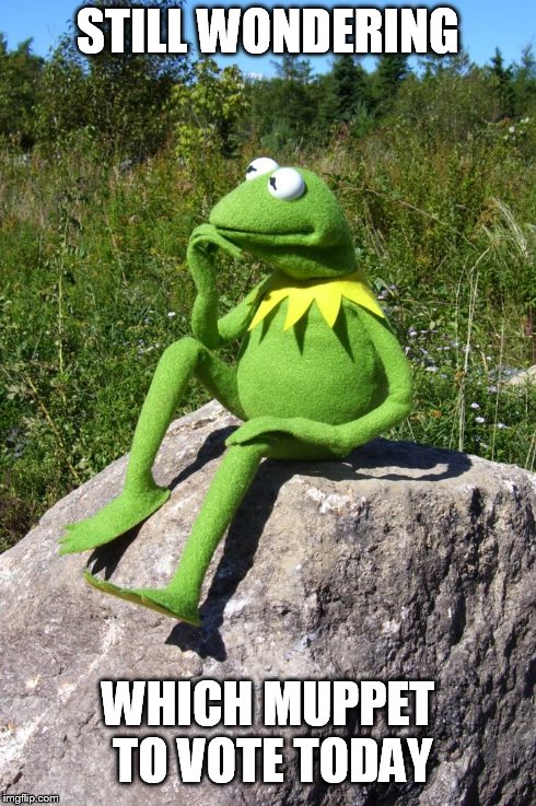 Kermit Thinking | STILL WONDERING WHICH MUPPET TO VOTE TODAY | image tagged in politics | made w/ Imgflip meme maker