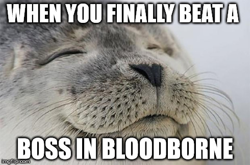 When you're at the brink of insanity | WHEN YOU FINALLY BEAT A BOSS IN BLOODBORNE | image tagged in memes,satisfied seal | made w/ Imgflip meme maker