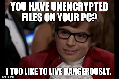 When your parents check your PC  | YOU HAVE UNENCRYPTED FILES ON YOUR PC? I TOO LIKE TO LIVE DANGEROUSLY. | image tagged in memes,i too like to live dangerously | made w/ Imgflip meme maker