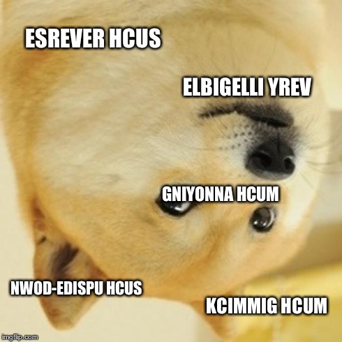 Doge | ESREVER HCUS ELBIGELLI YREV GNIYONNA HCUM NWOD-EDISPU HCUS KCIMMIG HCUM | image tagged in memes,doge | made w/ Imgflip meme maker