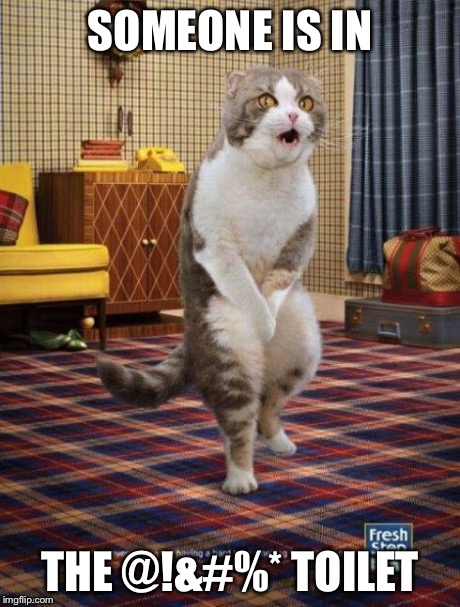 Gotta go cat | SOMEONE IS IN THE @!&#%* TOILET | image tagged in gotta go cat | made w/ Imgflip meme maker