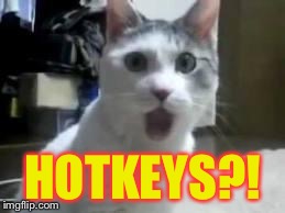 omg cat 2 | HOTKEYS?! | image tagged in omg cat 2 | made w/ Imgflip meme maker