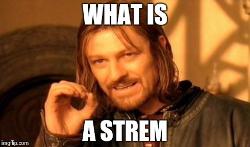 One Does Not Simply Meme | WHAT IS A STREM | image tagged in memes,one does not simply | made w/ Imgflip meme maker