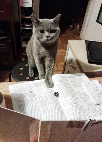 RPG cat Blank Meme Template